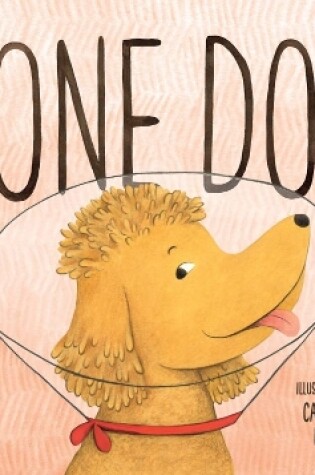 Cover of Cone Dog