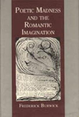 Book cover for Poetic Madness and the Romantic Imagination