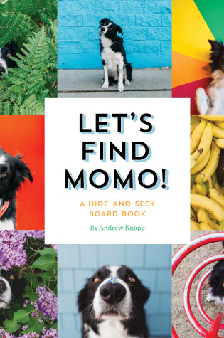 Cover of Let's Find Momo!