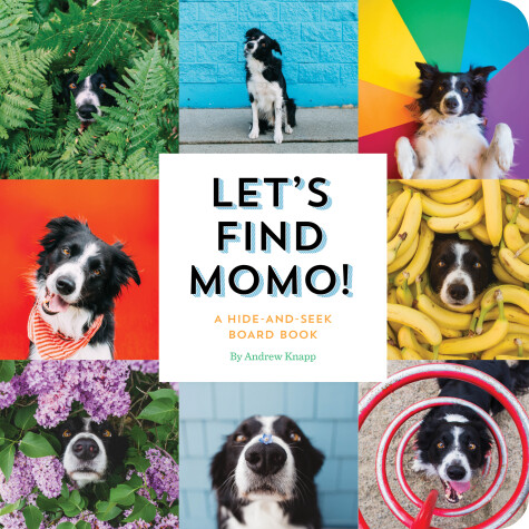 Cover of Let's Find Momo!