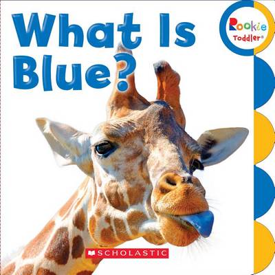 Cover of What Is Blue? (Rookie Toddler)