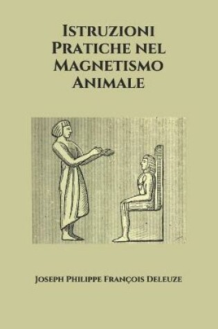 Cover of Istruzioni Pratiche nel Magnetismo Animale