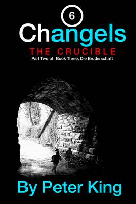 Book cover for Changels