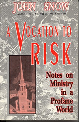 Book cover for A Vocation to Risk