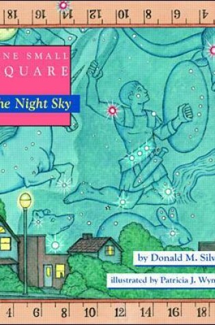 Cover of One Small Square, The Night Sky