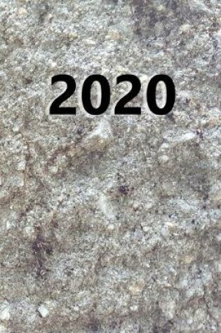 Cover of 2020 Daily Planner 2020 Carved Stone Image Style 384 Pages