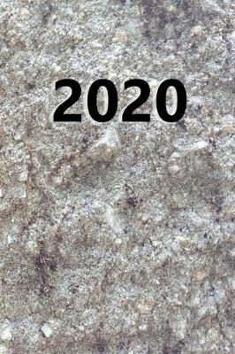 Book cover for 2020 Daily Planner 2020 Carved Stone Image Style 384 Pages