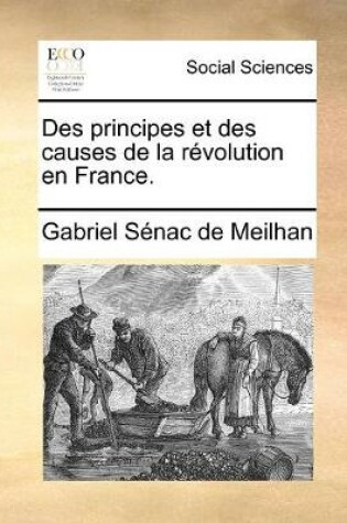 Cover of Des principes et des causes de la revolution en France.