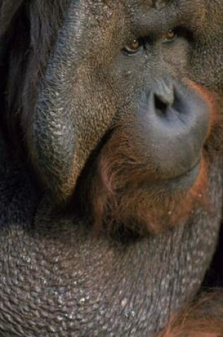 Cover of A Portrait of an Orangutan, for the Love of Animals