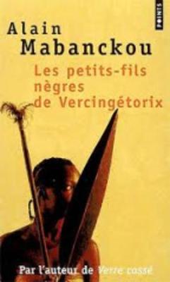 Book cover for Les petits-fils negres de Vercingetorix