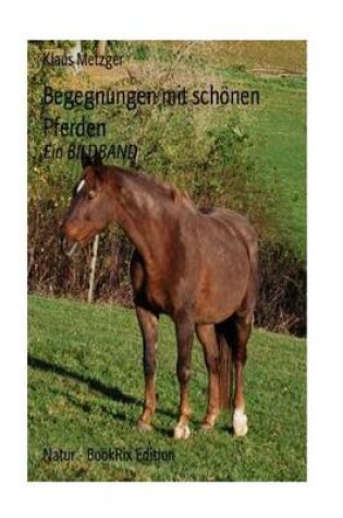 Cover of Begegnungen mit schönen Pferden