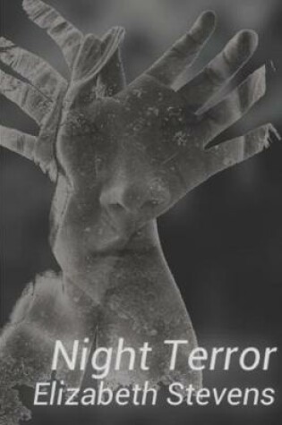 Cover of Night Terror