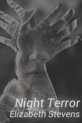 Book cover for Night Terror