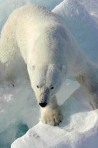 Cover of Polar Bear in the Arctic (for the Love of Animals)