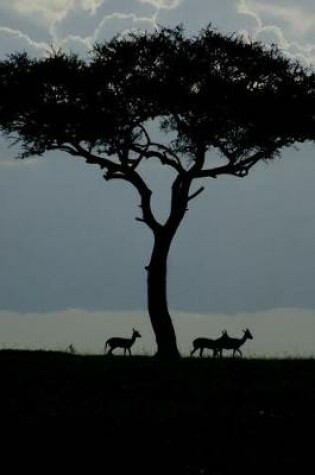 Cover of Gazelles and an Acacia Tree at Dawn in Africa Nature Journal