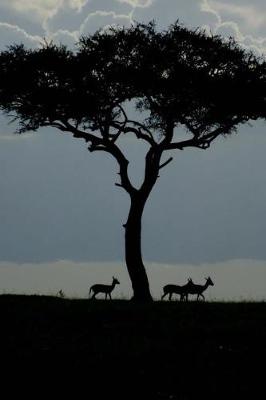 Book cover for Gazelles and an Acacia Tree at Dawn in Africa Nature Journal