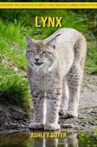 Cover of Lynx