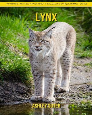 Book cover for Lynx