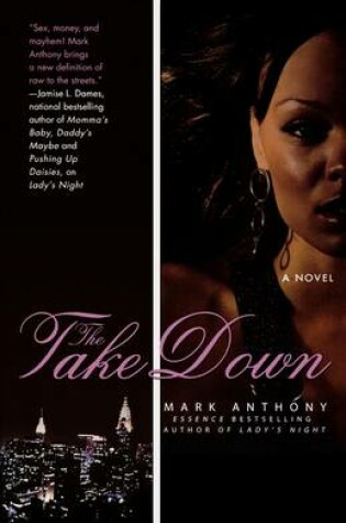 Cover of The Take Down