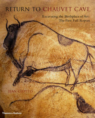 Book cover for Return to Chauvet Cave