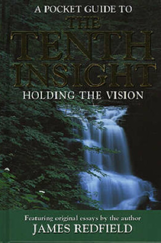 Cover of Tenth Insight - Holding the Vision