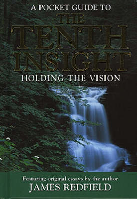 Book cover for Tenth Insight - Holding the Vision