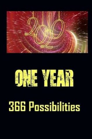 Cover of 2020 One Year 366 Possibilities