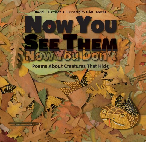 Book cover for Now You See Them, Now You Don't