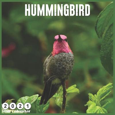 Book cover for Hummingbird 2021 Wall Calendar