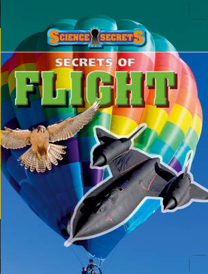 Cover of Secrets of Flight