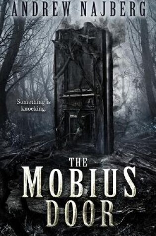Cover of The Mobius Door
