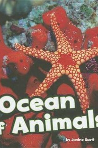 Cover of An Ocean of Animals