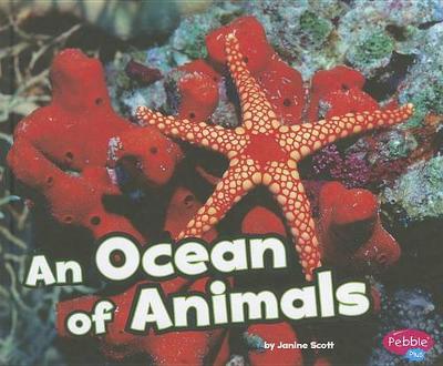 Cover of An Ocean of Animals