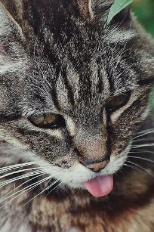 Cover of American Wirehair Cat Sticks Out Its Tongue Journal