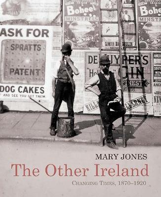 Book cover for The Other Ireland