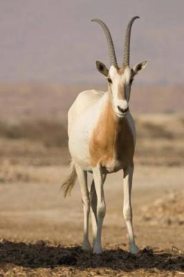 Book cover for Scimitar Oryx Antelope Journal