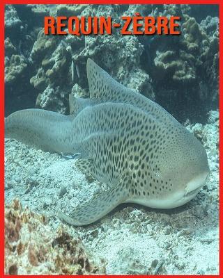 Book cover for Requin-Zèbre