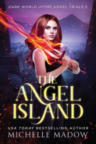 Cover of The Angel Island