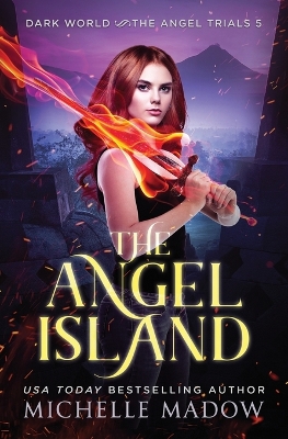 Book cover for The Angel Island