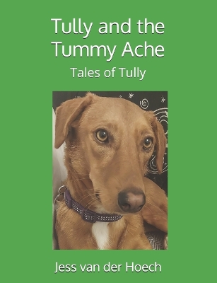 Book cover for Tully and the Tummy Ache