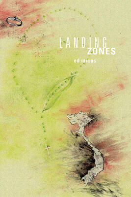 Book cover for Landing Zones