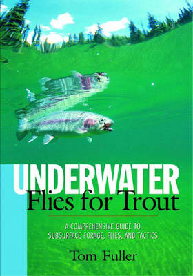 Book cover for Underwater Flies for Trout