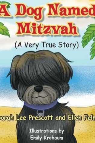 Cover of Mitzvah