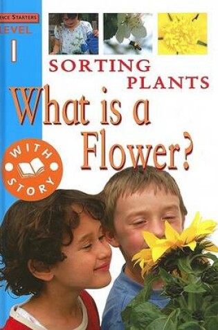 Cover of Sorting Plants