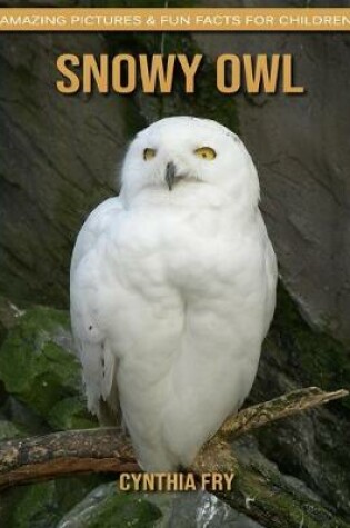 Cover of Snowy Owl