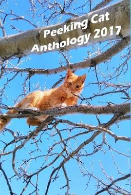 Book cover for Peeking Cat Anthology 2017