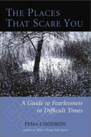 Cover of The Places That Scare You