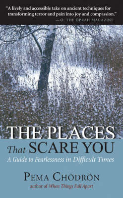 Book cover for The Places That Scare You