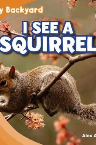 Cover of I See a Squirrel