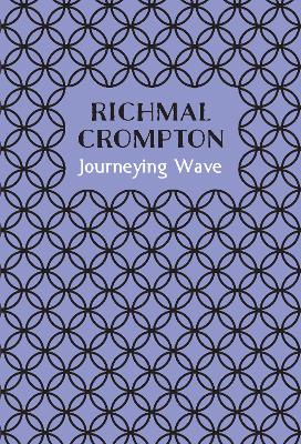 Book cover for Journeying Wave